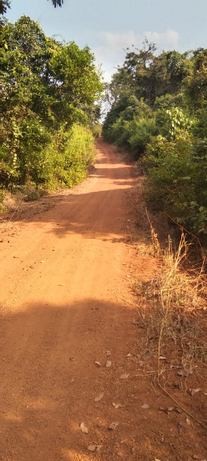 ग्रामपंचायतच्या माध्यमातून रस्ते साफसफाई करण्यात आली (1)