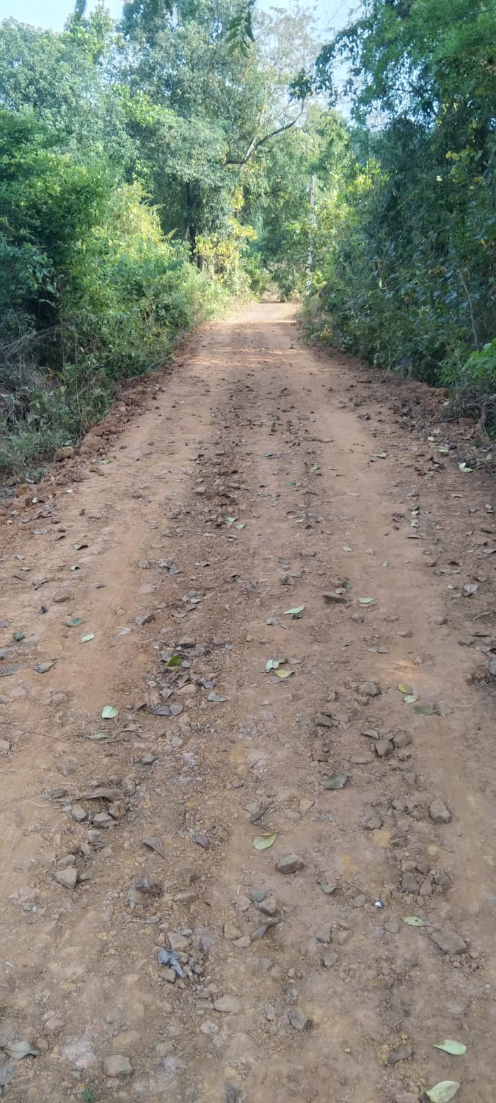 ग्रामपंचायतच्या माध्यमातून रस्ते साफसफाई करण्यात आली (2)