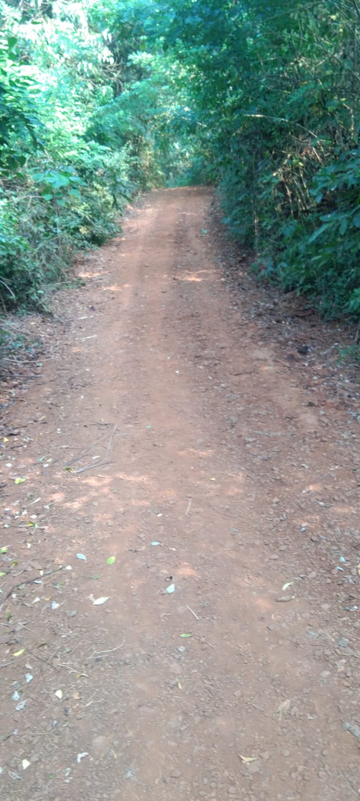 ग्रामपंचायतच्या माध्यमातून रस्ते साफसफाई करण्यात आली (3)