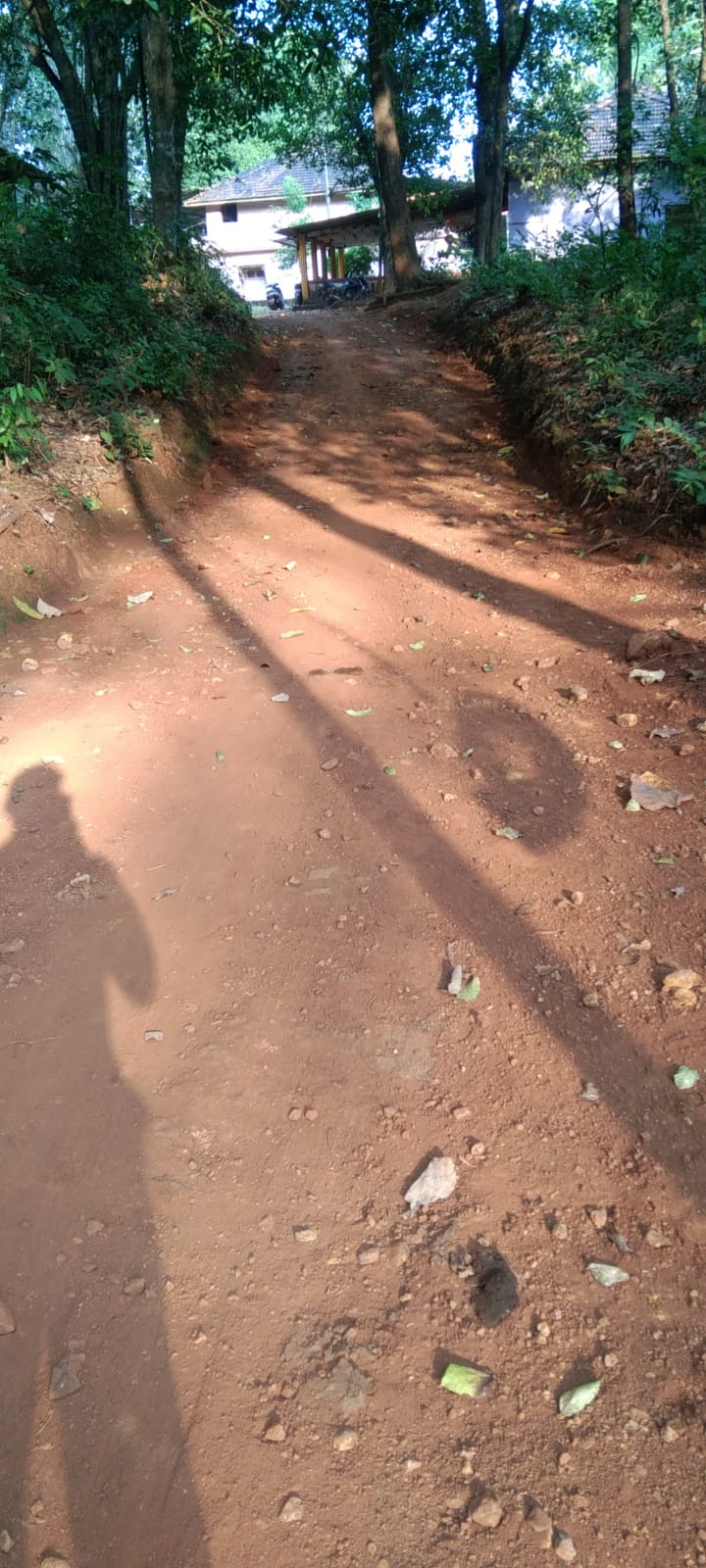 ग्रामपंचायतच्या माध्यमातून रस्ते साफसफाई करण्यात आली (6)