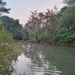 शाळा नंबर 1 समोर नळ योजना विहिरी जवळ कच्चा बंधारा (3)